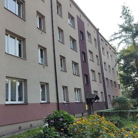 Apartament Curie Ζάμπρτσε Εξωτερικό φωτογραφία